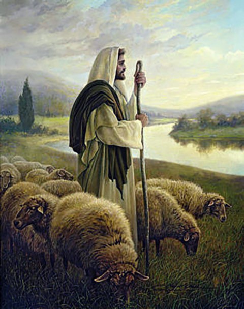 Good Shepherd