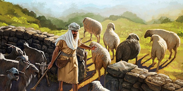Sheep and Goats | Good Shepherd Lutheran Church – Yucaipa